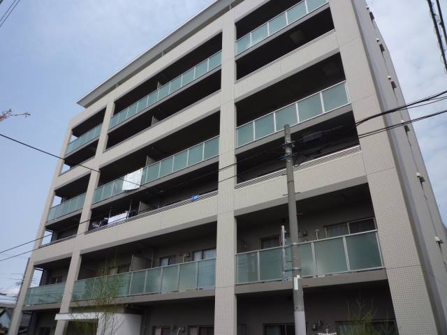 7/LAVIS　ラヴィ